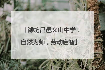 潍坊昌邑文山中学：自然为师，劳动启智