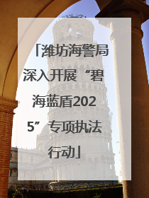 潍坊海警局深入开展“碧海蓝盾2025”专项执法行动