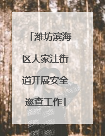 潍坊滨海区大家洼街道开展安全巡查工作