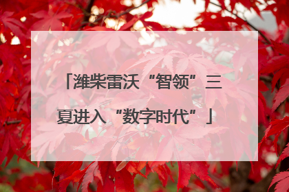 潍柴雷沃“智领”三夏进入“数字时代”