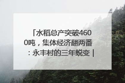 水稻总产突破4600吨，集体经济翻两番：永丰村的三年蜕变｜您牵挂的四川