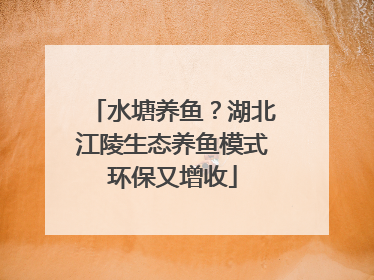 水塘养鱼？湖北江陵生态养鱼模式环保又增收