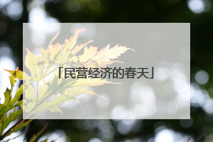 民营经济的春天