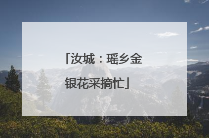 汝城：瑶乡金银花采摘忙