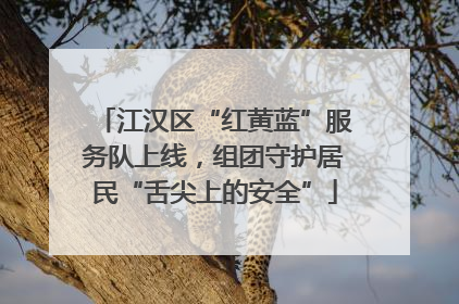 江汉区“红黄蓝”服务队上线，组团守护居民“舌尖上的安全”
