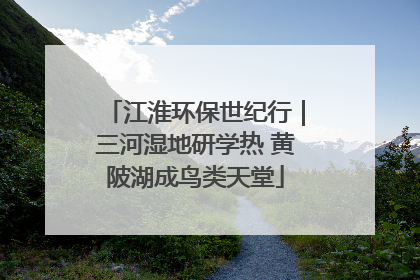 江淮环保世纪行｜三河湿地研学热 黄陂湖成鸟类天堂