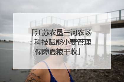 江苏农垦三河农场:科技赋能小麦管理保障夏粮丰收