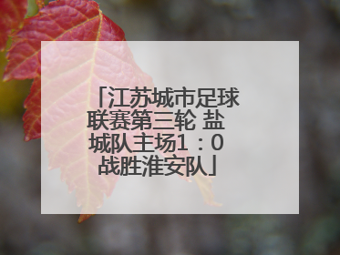 江苏城市足球联赛第三轮 盐城队主场1：0战胜淮安队