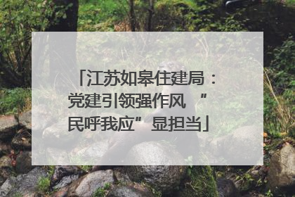 江苏如皋住建局：党建引领强作风 “民呼我应”显担当