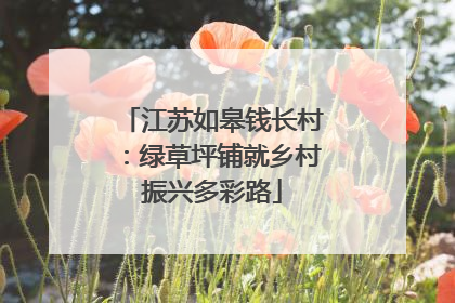 江苏如皋钱长村：绿草坪铺就乡村振兴多彩路