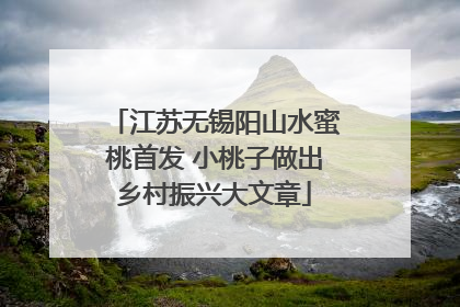江苏无锡阳山水蜜桃首发 小桃子做出乡村振兴大文章