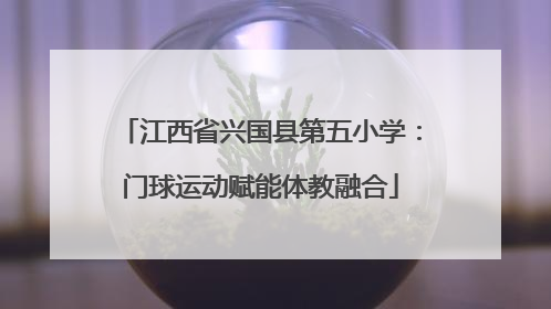 江西省兴国县第五小学：门球运动赋能体教融合