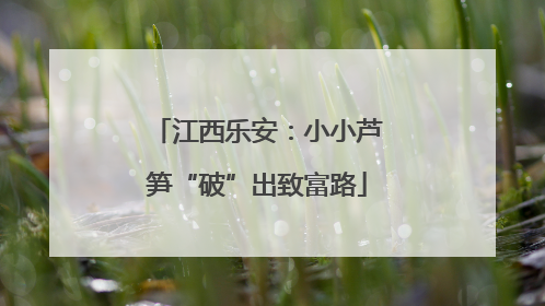 江西乐安：小小芦笋“破”出致富路
