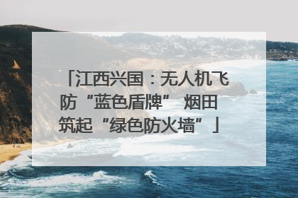 江西兴国：无人机飞防“蓝色盾牌” 烟田筑起“绿色防火墙”