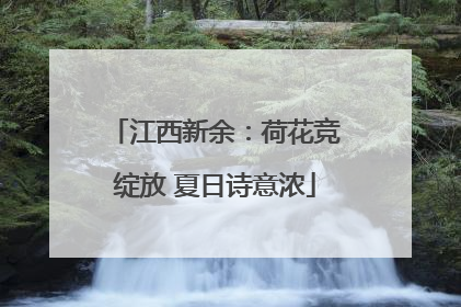 江西新余：荷花竞绽放 夏日诗意浓