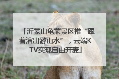 沂蒙山龟蒙景区推“跟着演出游山水”，云端KTV实现自由开麦