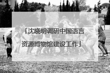 沈晓明调研中国语言资源博物馆建设工作