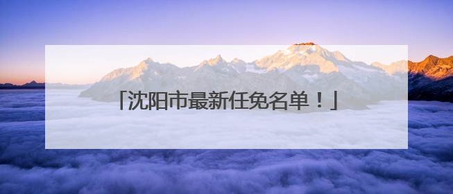 沈阳市最新任免名单！