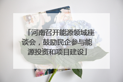河南召开能源领域座谈会,鼓励民企参与能源投资和项目建设