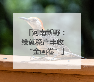 河南新野：绘就稳产丰收“金画卷”