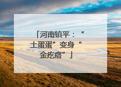 河南镇平：“土蛋蛋”变身“金疙瘩”