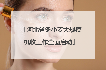 河北省冬小麦大规模机收工作全面启动