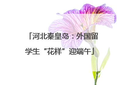 河北秦皇岛：外国留学生“花样”迎端午