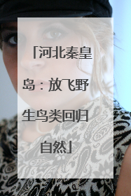 河北秦皇岛：放飞野生鸟类回归自然