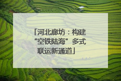 河北廊坊：构建“空铁陆海”多式联运新通道