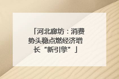 河北廊坊：消费势头稳点燃经济增长“新引擎”