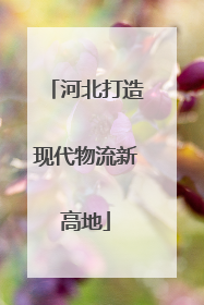 河北打造现代物流新高地