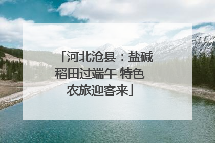 河北沧县：盐碱稻田过端午 特色农旅迎客来