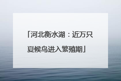 河北衡水湖：近万只夏候鸟进入繁殖期