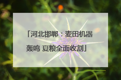 河北邯郸：麦田机器轰鸣 夏粮全面收割
