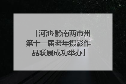 河池·黔南两市州第十一届老年摄影作品联展成功举办