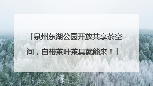 泉州东湖公园开放共享茶空间，自带茶叶茶具就能来！