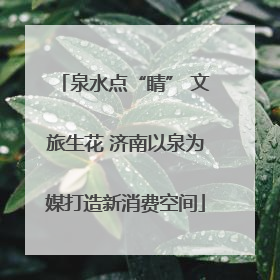 泉水点“睛” 文旅生花 济南以泉为媒打造新消费空间