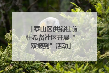 泰山区供销社前往希贤社区开展“双报到”活动
