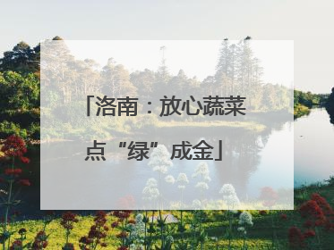 洛南：放心蔬菜点“绿”成金