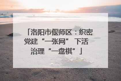 洛阳市偃师区：织密党建“一张网” 下活治理“一盘棋”