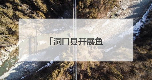 洞口县开展鱼类繁殖期护渔专项执法行动