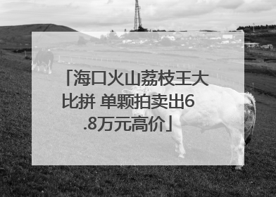 海口火山荔枝王大比拼 单颗拍卖出6.8万元高价