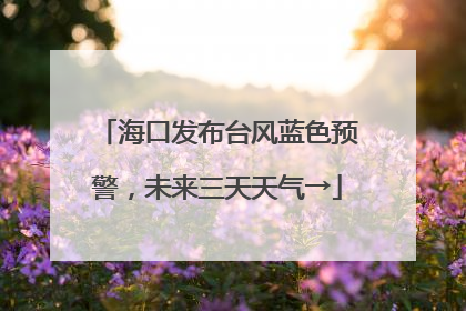 海口发布台风蓝色预警，未来三天天气→
