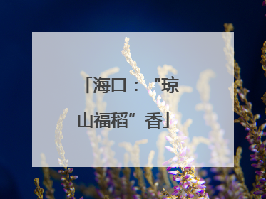 海口：“琼山福稻”香