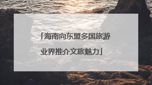 海南向东盟多国旅游业界推介文旅魅力
