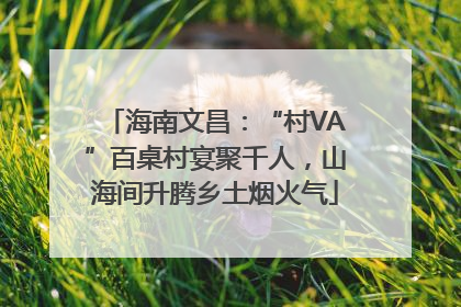 海南文昌：“村VA”百桌村宴聚千人，山海间升腾乡土烟火气