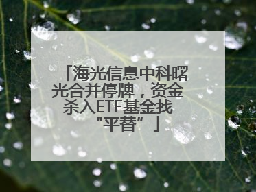 海光信息中科曙光合并停牌，资金杀入ETF基金找“平替”
