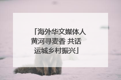 海外华文媒体人黄河寻麦香 共话运城乡村振兴