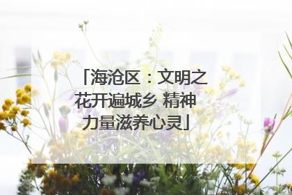 海沧区：文明之花开遍城乡 精神力量滋养心灵