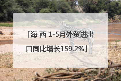 海 西 1-5月外贸进出口同比增长159.2%